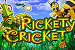 Free game Rickety Cricket