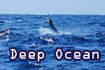 Free game Deep Ocean