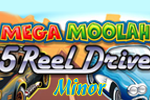 Free game MM 5 Reel Drive (Minor)